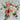 Dance Bouquet