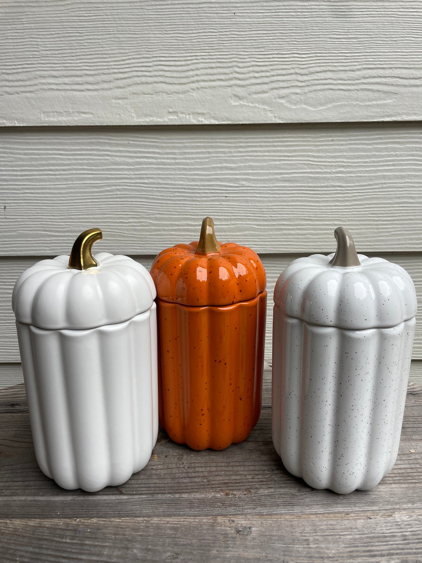 White Tall Pumpkin - Halcyon Thanksgiving